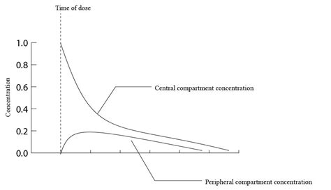 Single and multiple compartment models of drug distribution | Deranged ...