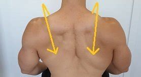 How To Fix Uneven Shoulders - Posture Direct