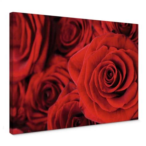 Rose Canvas print | wall-art.com