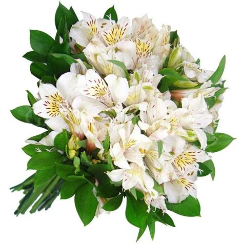 Bouquet from White alstroemerias | Flower Gallery | Galéria Kvetín