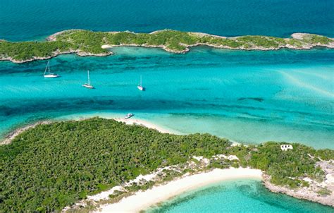 Unmissable things to do in Exuma Bahamas, the Exuma Pigs!