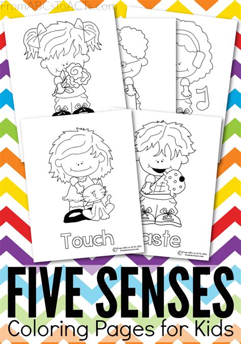 Five Senses Printable Coloring Pages - From ABCs to ACTs