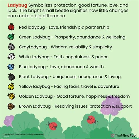 Ladybug Meaning | Ladybug Symbolism | Ladybug Spiritual Meaning