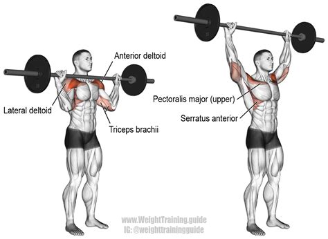 Pin on Shoulder Exercises