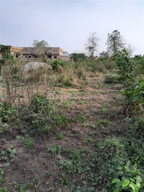 For Sale: 100ft Feet By 95 Feet Land, Okhoromi Community, Off Airport ...