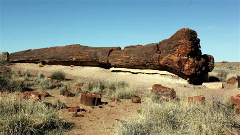 Petrified Forest National Park revisit – Tales of a vanlife couple