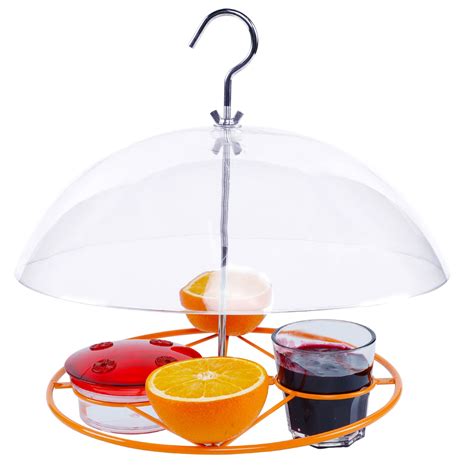 10 Best Large Oriole Bird Feeders for Your Backyard - Hummingbirds Plus