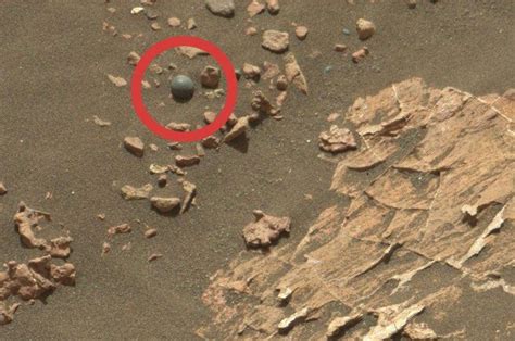 Nasa’s Curiosity Perseverance Rover Spotted a Strange Object on Mars ...