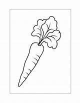 Carrot Coloring Pages – Printable FREE sketch template