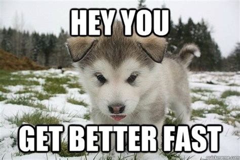 40 Funny Get Well Soon Memes To Cheer Up Your Dear One - SayingImages.com | Husky puppy, Cute ...