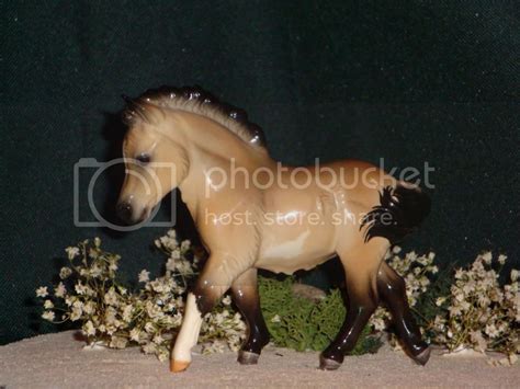 Breyer Horse Showing: Introduction to Photo Showing | Stable News