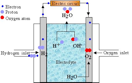 Schematic Diagram Of Fuel Cell