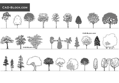 Deciduous trees