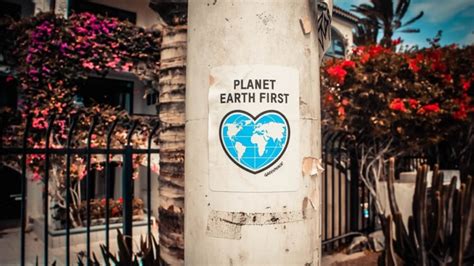 5 Best Environmental Charities in London | Attitude Organic