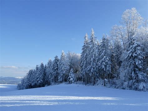 winter wonderland Switzerland | roli_b | Flickr