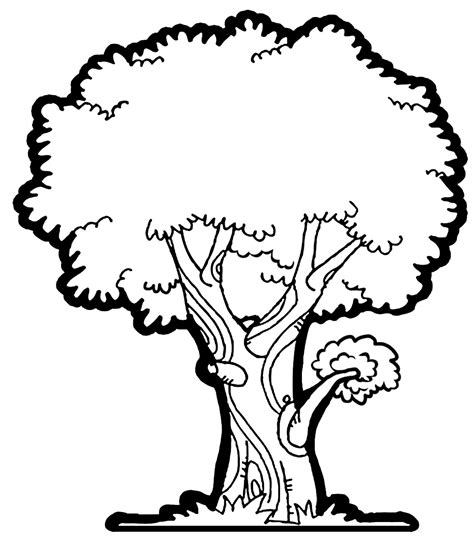 Mango Tree Clip Art Black And White