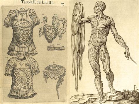 Andreas Vesalius JT03.jpg (1600×1200) | Art, Drawings, Humanoid sketch