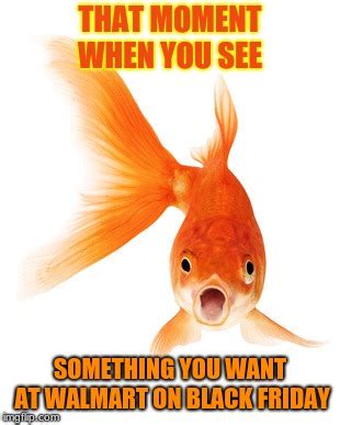 goldfish Memes & GIFs - Imgflip