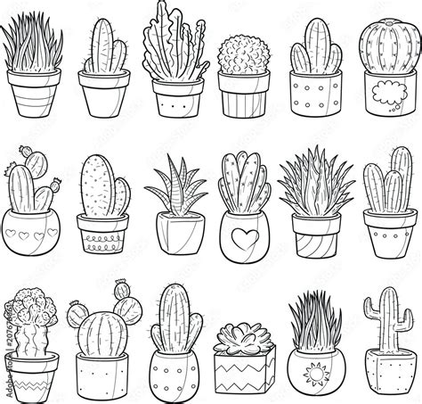 Succulent Cactus Plant Decor Doodle Icon Hand Draw Line Art Stock ...