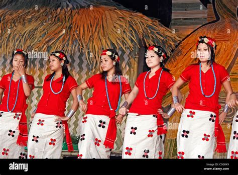 Nyishi tribes, women performing dance at Namdapha Eco Cultural Festival, Miao, Arunachal Pradesh ...