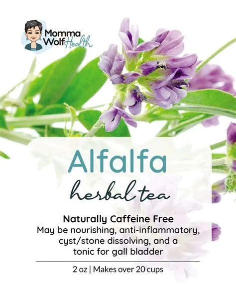 Alfalfa Tea - Organic Loose Leaf Tea - Momma Wolf Health