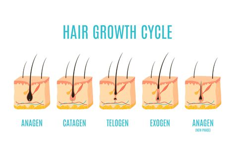 Does Stress Cause Hair Loss? - Everything You Need to Know