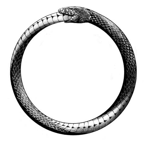 Ouroboros: Symbolism and Meaning in 2022 | Ouroboros tattoo, Symbolic ...