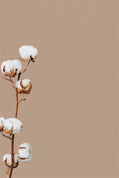 Beige Minimal Flower Background