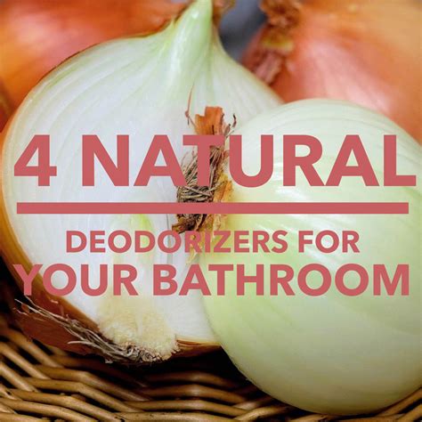 4 Natural deodorizers for your bathroom – Illumibowl