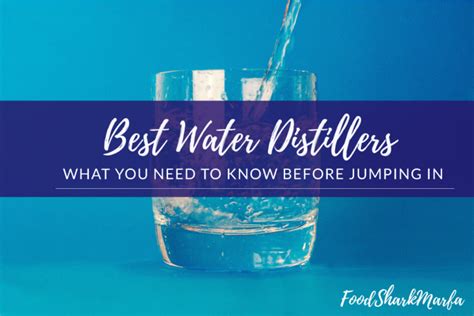 The 9 Best Water Distiller To Bring Purity to Your Life - Food Shark Marfa