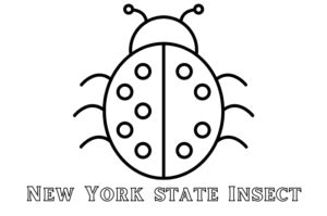 New York State Insect - Foreign USA