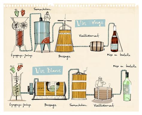 Winemaking Process | Not strictly a map, but I've decided to… | Flickr