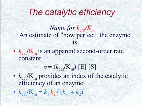 PPT - Biochemistry PowerPoint Presentation, free download - ID:5701075