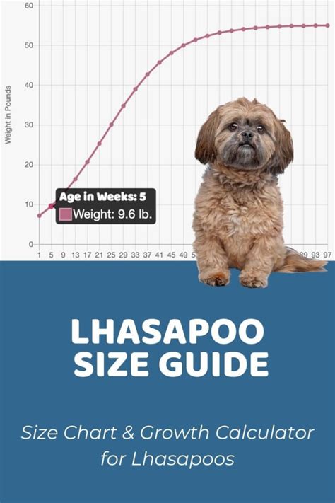 Lhasapoo Size Chart + Interactive Weight Calculator - Doodle Doods