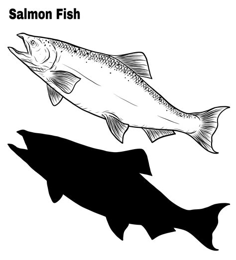 Salmon art highly detailed in line art style 534924 Vector Art at Vecteezy