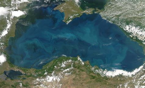 Phytoplankton Blooms in the Black Sea : Natural Hazards