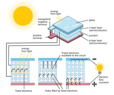 N-Type vs. P-Type Solar Panels: An In-Depth to Both Technologies