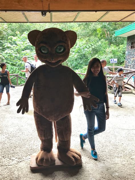 What Mary Loves: When in Bohol: Tarsier Conservation Center