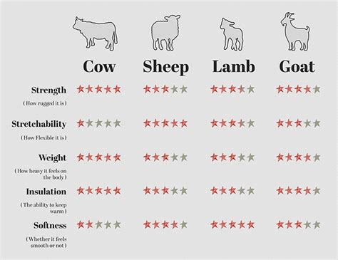 A Comprehensive Guide To Identify Different Types Of Leather