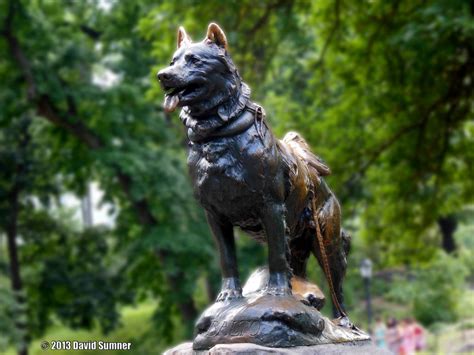 Balto Statue 2013 by niggyd on DeviantArt