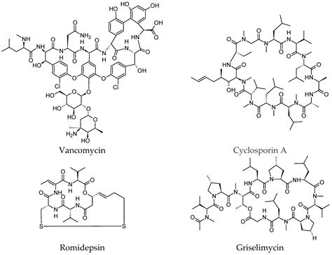 Molecules | Free Full-Text | Natural Cyclic Peptides as an Attractive ...