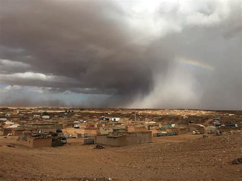 Sahara floods: Torrential rains destroy 1200 homes in refugee camp in the Sahara Desert ...