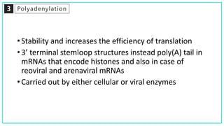 mRNA processing | PPT