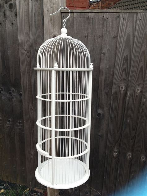 Large Decorative Bird Cages | Bird cage decor, Hanging bird cage, Bird cage