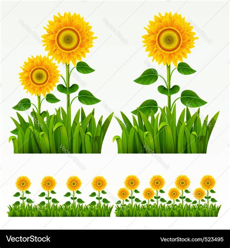 Grass border Royalty Free Vector Image - VectorStock