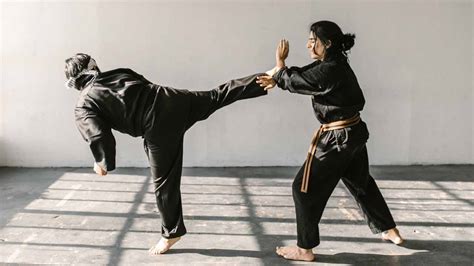 8 Effective Karate Techniques (master videos teach you step by step)