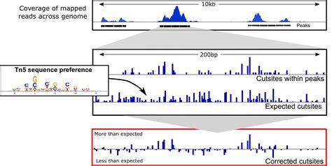 ATAC-seq : Footprinting analysis using TOBIAS | Workshop ChIPATAC 2020