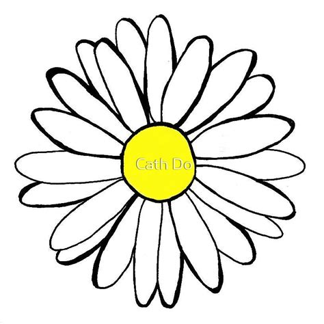 "daisy drawing" by Catherine Dolan | Redbubble