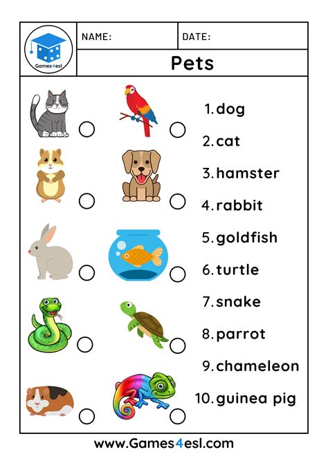 Download these free pet worksheets and use them in class today. On this ...