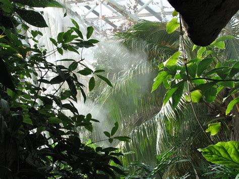 File:Baltimore Aquarium - Rain forest.jpg - Wikimedia Commons